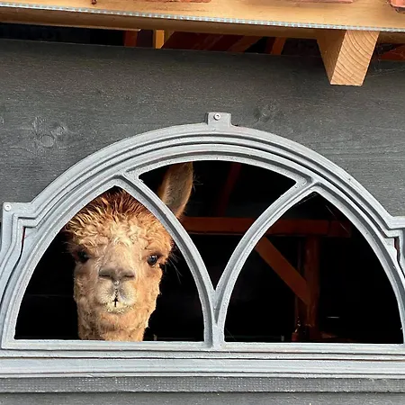 Апартаменты Landgoed Te Jaarsveld