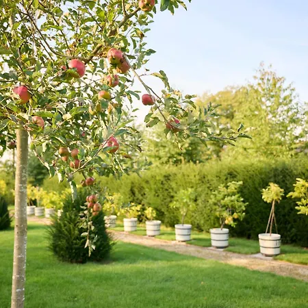 Lejlighed Landgoed Te Jaarsveld
