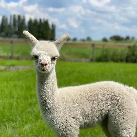 Landgoed Te Appartamento *